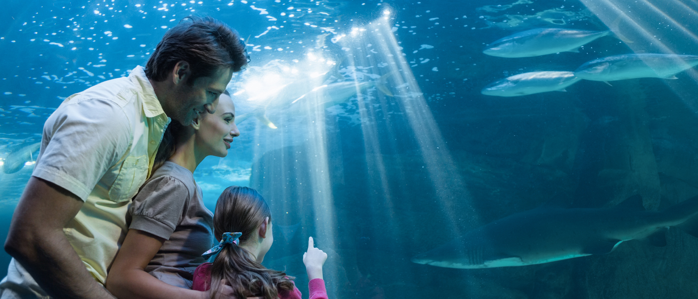 aquarium