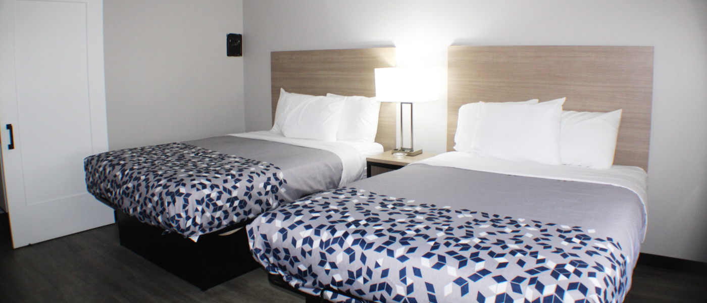 Spacious King Suite